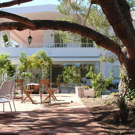 A Pausa Alvor Bagian luar foto